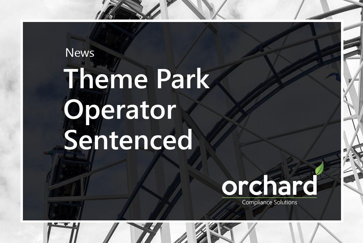 You are currently viewing Theme Park Operator Sentenced Following Roller Coaster Derailment